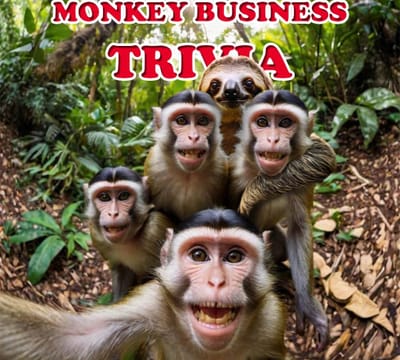 Monkey Business Trivia by Think and Drink